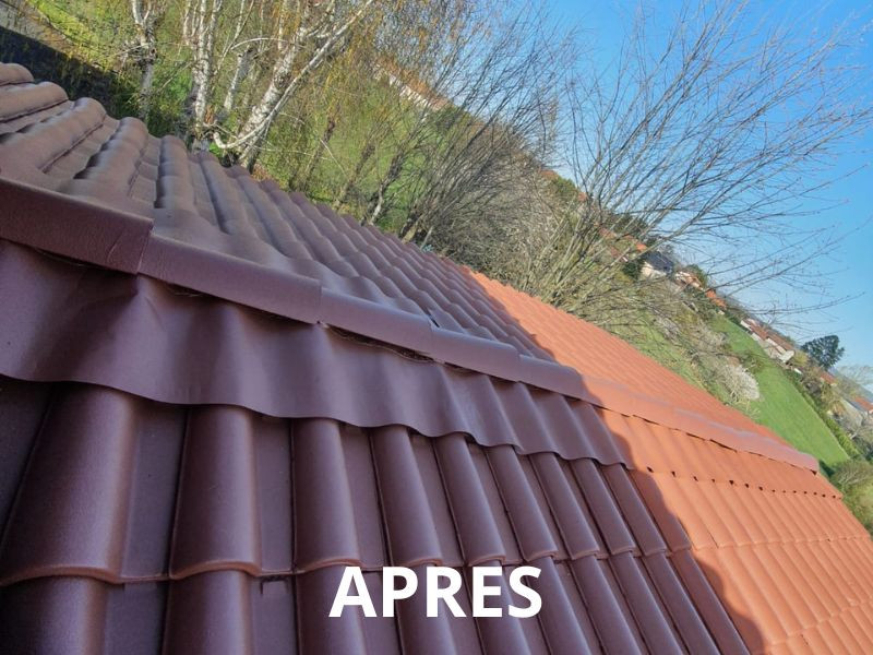 Rénovation d'une toiture en tuiles à Tarbes