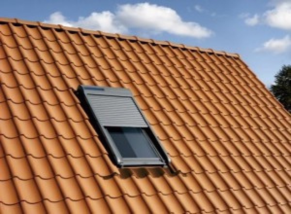 Installateur de fenêtre de toit, velux à Arbonne